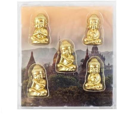 Kraftheld | 5er Set Deko-Magnete Buddha | Buddha-Magnete, Gott, Religion | bunt, dekorativ, farbenfroh | Kühlschrankmagnete in Form von Tieren | Magnet-Deko als Geschenk