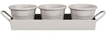 Garden Trading Set of 3 Pots on a Tray Crafted in Powder Coated Steel | H9 X W43 X D14cm