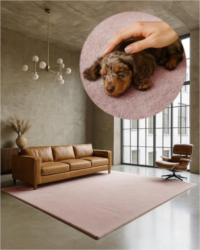 TEXMAXX Weicher Kurzflor Teppich Wohnzimmer mit rutschhemmender Rückseite (160 x 200 cm) - Modern für Flur, Esszimmer und als Schlafzimmer Teppich in Pastel-Rosa - Waschbar bis 30 Grad