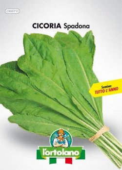 Sementi orticole di qualità l'ortolano in busta termosaldata (160 varietà) (CICORIA SPADONA)