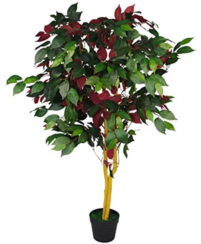 Leaf Artificial Ficus Tree/Plant, Mixed Materials, Red Green Capensia, 120cm
