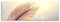 Sinus Art Wandbild 150x50cm Naturfotografie – Feder vor Ombre blauem Grund auf Leinwand für Wohnzimmer, Büro, Schlafzimmer, Ferienwohnung u.v.m. Gestochen scharf in Top Qualität
