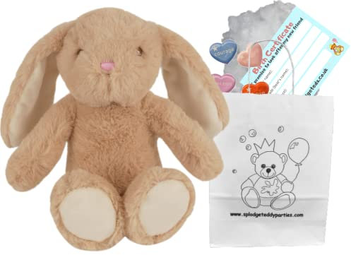 Splodge Teddy Parties - Braunes Plüschtier – 25 cm – Bauen Sie Ihren eigenen Teddybär – Party-Set.