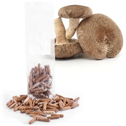 Edelpilze.Shop Pilzdübel 50 Stück für Baumstammkultur – Pilzbrut mit hochwertigem Myzel vom Profizüchter, ideal für Heimzüchter und Gartenliebhaber, einfache Anwendung – Shiitake