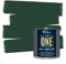 THE ONE All-In-One Paint & Primer - Green Gloss, 1 L | Multi-Surface 1 Coat Formula | Easy Indoor & Outdoor Decorating for Home & Garden Walls, Floors & Furniture | Durable, Water-Based & Low VOC