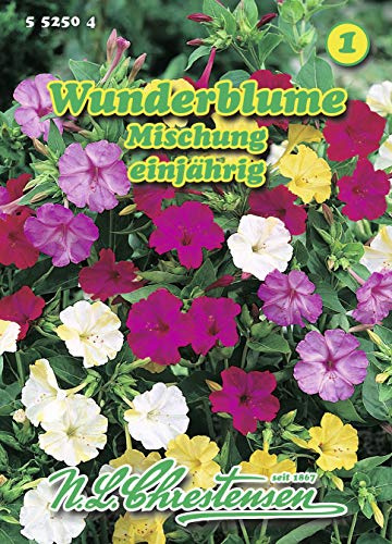 N.L. Chrestensen 552504 Wunderblume Mischung (Wunderblumensamen)