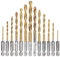 HaoTrade 13Pcs Titanium Coated HSS Twist Drill Bits, HSS Twist Drill, 1/4 Hex Shank High Speed Steel Drill Bit Set, Titanium Drill Bits Set, for Wood, Stainless Steel, Metal, Plastic, 1.5mm-6.5mm