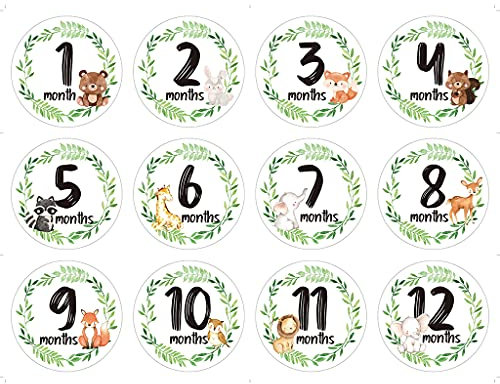 LANCHEN 12 Stück/Set Neugeborene Meilenstein Gedenkmonat Sticker Blumen Baby Monatsaufkleber