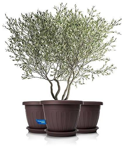 BigDean 3X Blumentopf mit Untersetzer rund ø50xH38 cm braun - wetterfester Pflanzkübel - Wasserablauf UV-beständig aus bruchsicherem Kunststoff - Innen + Außen geeignet - Made in Europe