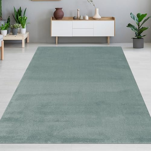 CARPETIA Teppich modern Designteppich mit strukturierter Oberfläche angenehm weich pflegeleicht fußbodenheizung geeignet ruhige Optik harmonisches Wohnambiente Mint Grün 160 cm Rund