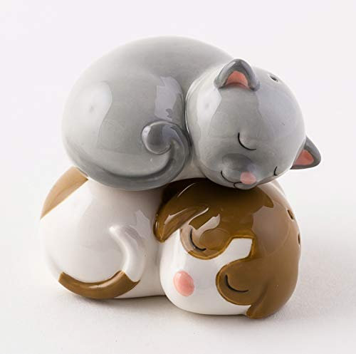 Perro y gato salero y pimentero en caja de regalo cerámica 2,65 cm tema cs0077