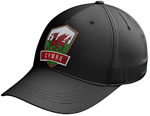 Purple Print House Wales Hat, Cymru Embroidered Wales Flag Baseball Cap, Red Black Welsh Gifts Men