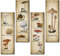 4 Stück Pilz Wanddekoration Vintage Pilz Wandkunst Schild Rustikale Holz Pilz Küche Dekor Pilz Poster Hängende Pilz Ästhetische Kunst für Schlafzimmer Esszimmer Wohnzimmer Büro (27,9 x 8,9 cm)