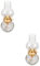 PRETYZOOM 2St Kerosin küchenwage kindeküche tischhalterung Lampe tischlamp Schreibtisch tageslichtlampe ADO Laterne Tischpetroleumlampe Retro-Petroleumlampe Öllampe aus Glas Metall