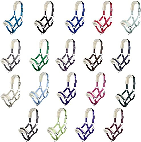 Posten Bischofshofen Halfter & Stricke Lime Pony