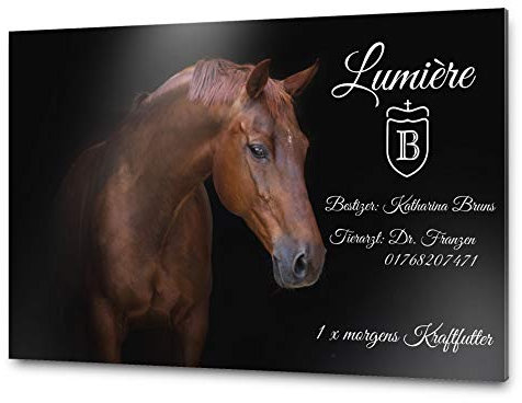 Pferdeschilder Boxenschilder mit Wunschtext und Bild | Alu Verbundplatte/AluDibond | 30x20 cm | sofort personalisierbar | inkl. Brandzeichen & Motiven