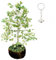 KULIA® Kristall-Lebensbaum dekorative Statue Feng Shui grüner Aventurin Trommelsteine Geldbaum Edelstein handgeschnitzt Schlüsselanhänger Taschenanhänger Mini-Ornament Tischdeko Geschenke