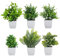 6 Petites Plantes Artificielles - Plante artificielle interieur 6.5 x 6.5 x 20cm - Matériau Plastique - Pour Décoration Intérieure - Idéales pour Chambre, Salle de Bain, Cuisine, Bureau (Vert)