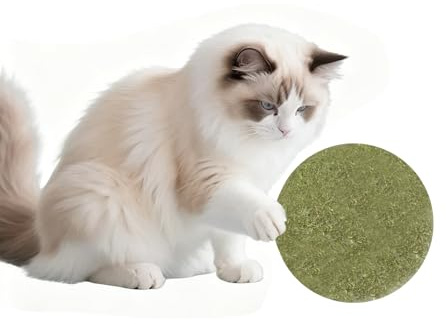 humyeam Palline di erba gatta per gatti, diametro 10,2 cm, giocattolo interattivo per gatti da interno, palline per leccare il naso