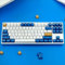 DucKey Zweifarbiges Keycaps, 160 Tasten/ABS/SA-Profil/Doubleshot Tastenkappe Für Custom Mechanische Tastatur (Color : Blue+White)
