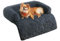 Feandrea FluffyHug Hundebett Plüsch, Hundedecke Sofa, Sofaschutz Hund, Hundekissen, Größe M, für kleine und mittelgroße Hunde, 80 x 75 x 16 cm, dunkelgrau PGW221G02