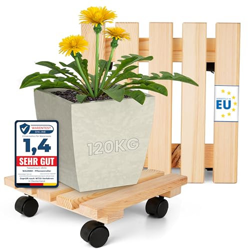 Oramics 2 Stück Pflanzenroller Eckig aus Massivholz – 30 x 30 x 8 cm bis 120 KG belastbar – Rollbrett für Pflanzen, Blumentöpfe und Blumenkübel – Blumentopf Untersetzer mit 4 Rollen