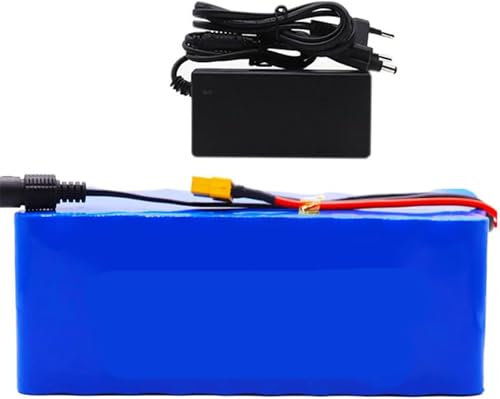 Batterie Li-ION E-Bike 24V 25.2V 29.4V 48V 52V 8AH 10AH 12AH 15AH 18AH 20AH 25AH 30AH Batterie Lithium-ION pour Batterie Au Lithium pour Moteur 1000W [Classe Énergétique A] 24V29.4V25AH,XT60