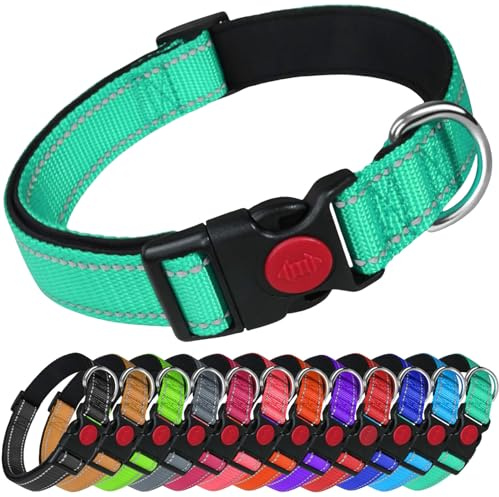 LARRYROO Reflective Dog Nylon Collar | Slide Lock Safety Buckle | Fully Adjustable | Soft Neoprene Padding (Turquoise, Extra Small (20cm - 30cm Neck))