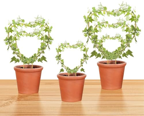 Hoya Rankgitter, 3 Größen, Zimmerpflanzen, Blumenstützpfähle, rund oder Herz, Metall, Gartenwerkzeug, Zubehör für kleine Topfpflanzen, Kletterpflanzen, goldfarben