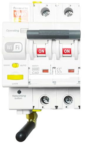 RASMACOR - Interruptor Magnetotermico WiFi – Rearmable 2P 16A Curva C 6kA – Termico Inteligente con Control Remoto – Compatible con App Tuya Smart – Domotica - 2 Polos 16A