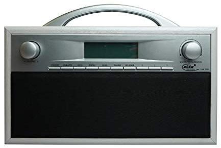 Elta DAB Radio Holzgehäuse