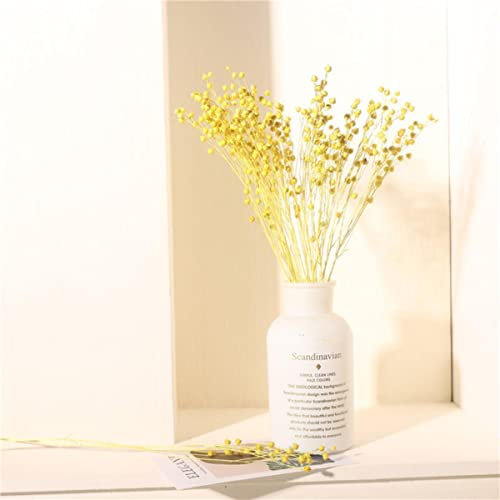 Dried Flax Beanreal Flowers Bouquets Natural Wheat ears Broom grass Dyed hair grass-huangse 40cm 35g