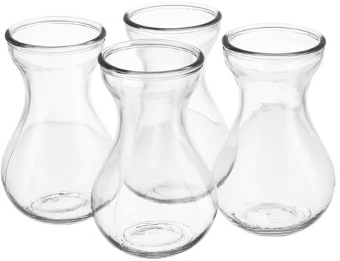 Alipis Glasvase 4 Stück Glas Hyazinthenvase Hydroponischer Pflanzenbehälter Transparent Kompakte Glasvase Für Büro Wohnzimmer Und Home Dekoration