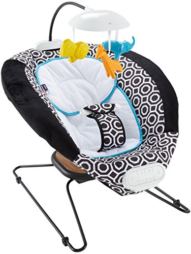 Fisher-Price Bouncer Deluxe