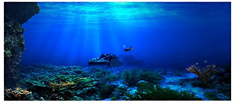 Ejoyous Póster de fondo de acuario con efecto 3D de PVC, adhesivo para decoración de acuario, imágenes de fondo submarino (122 x 46 cm)