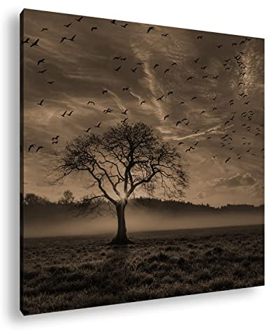 Leinwandbild Einsamer Baum auf weiter Flur Format: 40x40 cm Effekt: Sepia XXL Kunstdruck Bild auf Keilrahmen/Wandbild/Wohnzimmer Deko