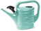 PECZEKO Arrosoir de jardin en plastique 10 l pour intérieur et extérieur, arrosage, fleurs, plantes d'intérieur, jardin, maison, appartement, outils de jardin avec douchette - 10 l