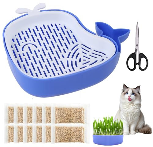 Set di semi per erba di gatto, 15 g x 10 confezioni, con ciotola per germogli
