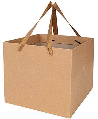 Papiertüten Kartenpapier Geschenktüten 5 Stück Papiertüten Viereckig Papiertaschen Große Kapazität Papierbeutel Kuchen Pizza Geburtstag Mitgebsel Papierbeutel Basteln Verzieren Tüten