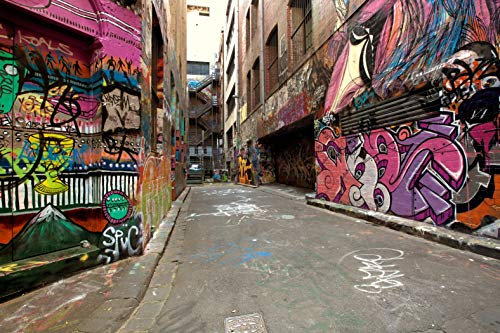 Papier Peint Photo INTISSÉ-GRAFFITI-300x223 cm-(941AE)-Street Art New York City Peintures Murales Urbain Côte Colle Inclus Mural Décor Motif Poster Géant Stickers Muraux Optique Moderne Fond Effet