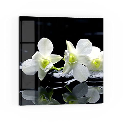 DEQORI Küchenrückwand Glas | Motiv Orchidee mit Zen-Steinen | 60x60 cm | Bad- oder Herd-Rückwand | Herdblende Spritzschutz für Küche & Badezimmer | moderne Deko für Fliesenspiegel