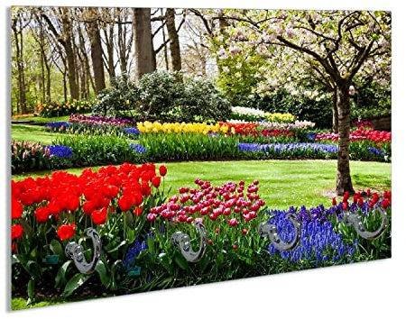 Wallario Schlüsselbrett aus Glas 30 x 20 cm, Wand Schlüsselhalter mit 4 Haken, Motiv: Bunte Blumen und Kirsch-Baum im Park blühen im Frühling