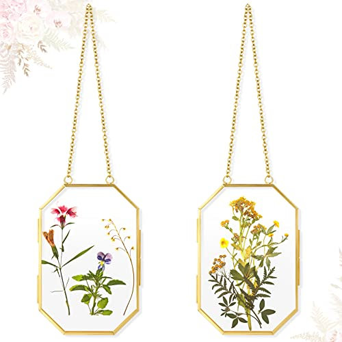 Qunclay 2 Stück gepresste Blumenrahmen aus Glas zum Aufhängen, klar, schwebender achteckiger geometrischer Doppelglasrahmen für gepresste Blumen, DIY, Vintage-Wanddekoration (Gold, 10,2 x 15,2 cm)