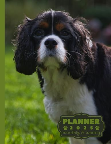 Cavalier King Charles Spaniel planner 2025: monthly and weekly 2025 | Spaniel-themed A4 2025 Diary | From Jan to Dec | Planning Giftable Perfect Gift ... Extra Notes Pages. | Animals Dog Breeds Pets