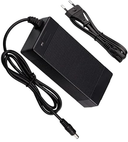 F10mobility Caricatore compatibile con bicicletta elettrica Nilox J5 Plus Ricambio Adattatore di alimentazione