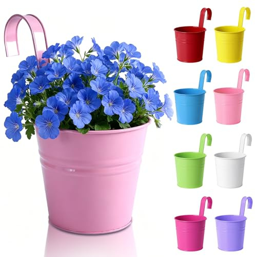Herbst 8 macetas colgantes de 16 cm, multicolor | Maceta colgante de metal con gancho extraíble y agujero para balcón, jardín, valla, pared