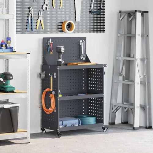RCODSSK Werkzeugwagen aus kaltgewalztem Stahl für Garage und Werkstatt mit 12 Haken und arretierbaren Rädern, Schwarz, Maße 75x35x73 cm