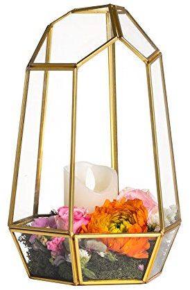 NCYP Goldgeometrischer Terrarium-Pflanzgefäß aus Glas,25 cm Unregelmäßiger Messing-Blumentopf für Sukkulenten,Farne, Moos,Heimdekoration,Tafelaufsatz für Hochzeit (Keine Pflanzen und Keine Tür)