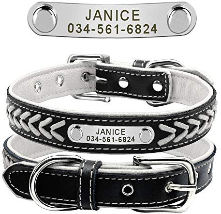 Beirui Personalized Soft Padded Dog Collar with Buckle Comfortable and Stylish Leather Dog Collar for Small Medium Large Dogs with Name Plate(XL, White 47-57cm)