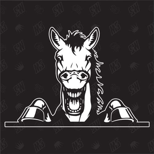 speedwerk-motorwear Pferd Version 3 - Pferde, Aufkleber, Autoaufkleber, Sticker, Reiten, Bauernhof, Reiterhof, Tiere, Farmanimals, Farmtiere, Pferdemotiv, Pferderassen (AUCH MIT Wunschname MÖGLICH)